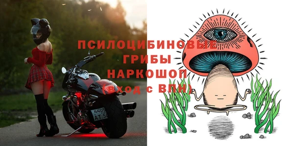 прущий лед Верея